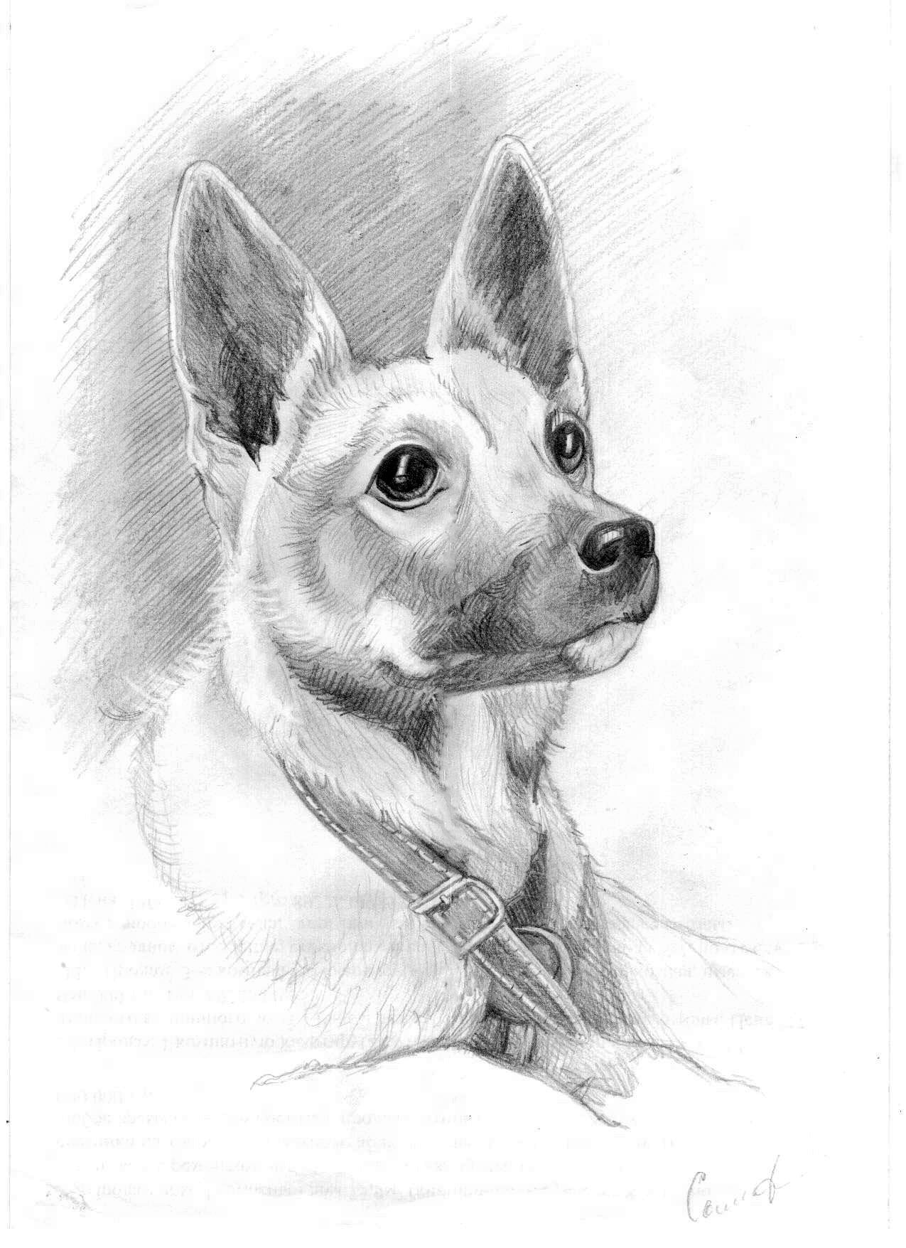 Обучение студентов в дистанционном формате продолжается